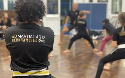 Castles Made of Sand: Why Footwork is the Foundation of Great Shadow Boxing